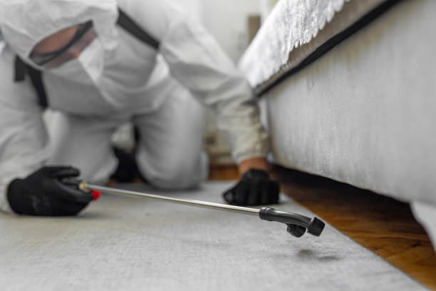 Professional Bed Bug Control technician working in College, AK