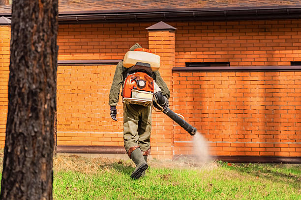 Trusted Termite Control service in College, AK - Nex Pest Control